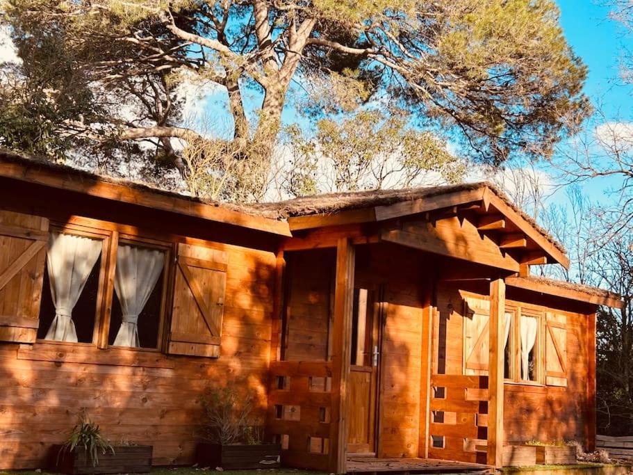 Chalet Bois Jacuzzi Bessan Экстерьер фото
