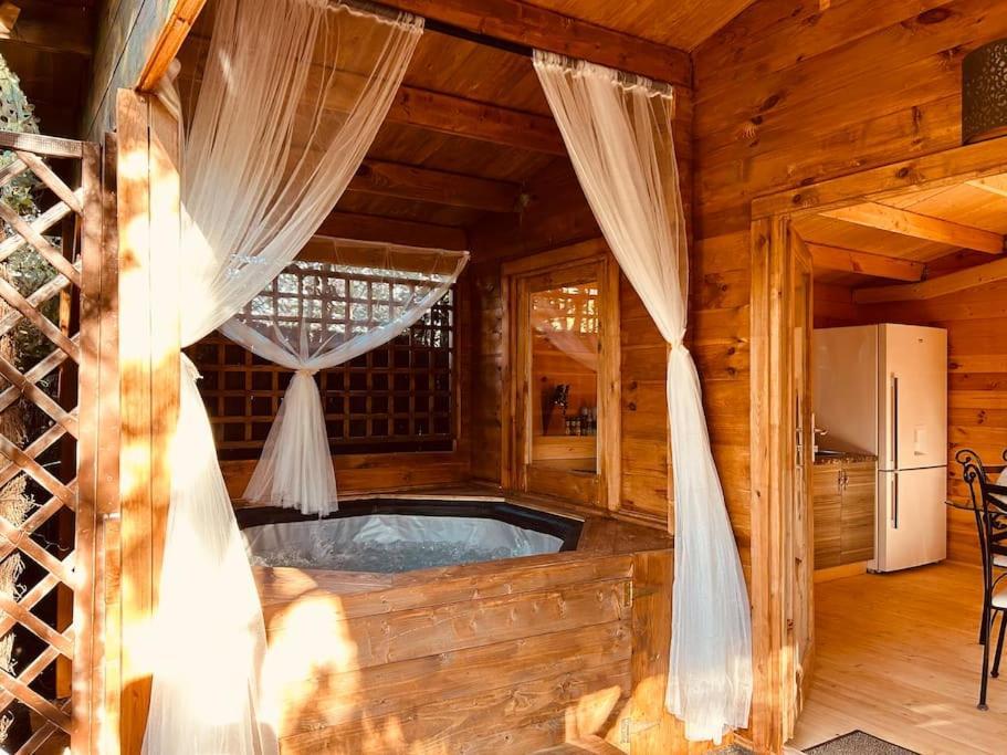 Chalet Bois Jacuzzi Bessan Экстерьер фото